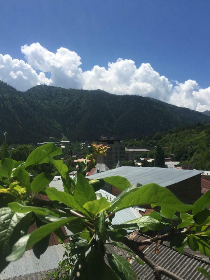 Hotel Victoria-Panorama Borjomi Luaran gambar